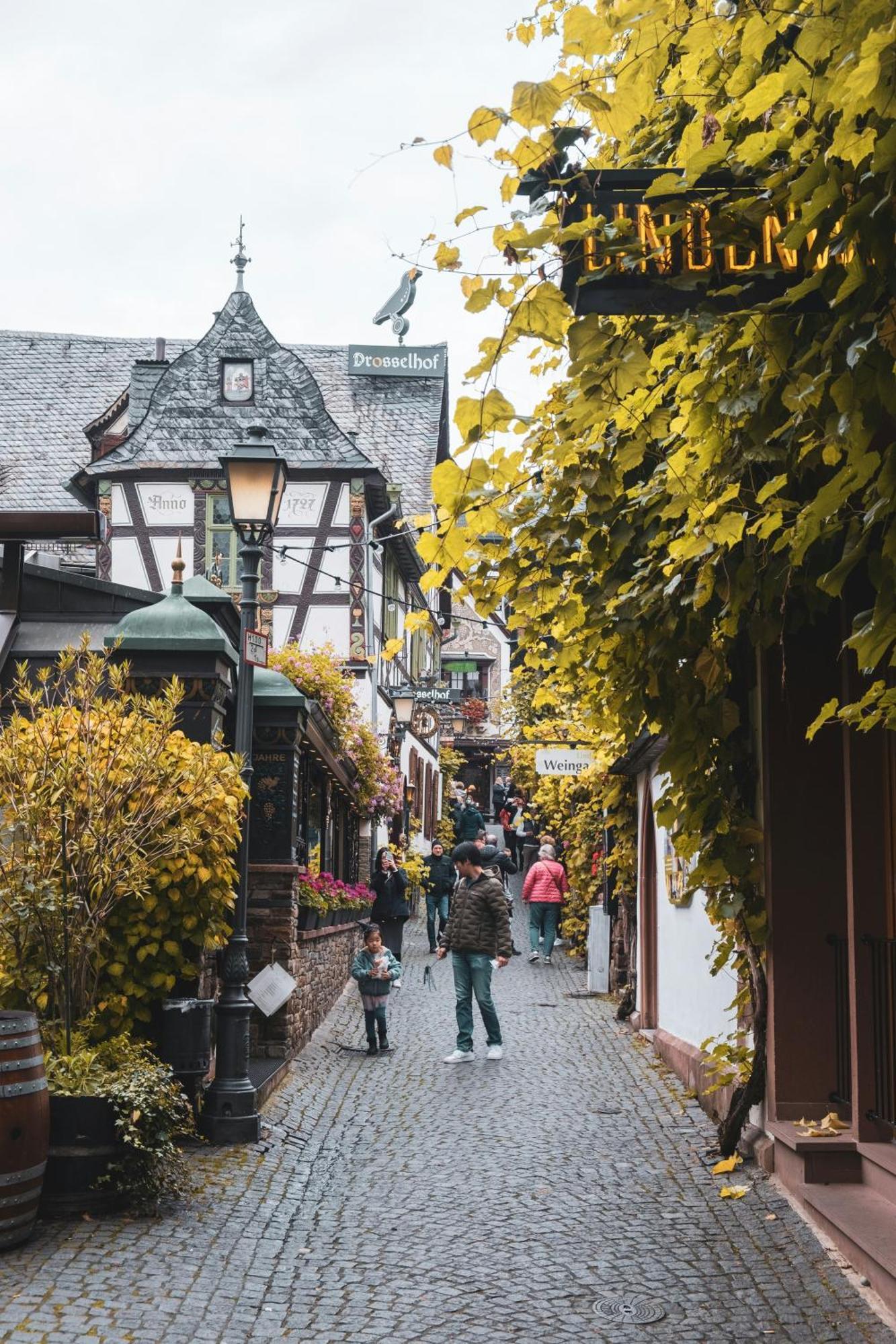 Hotel Zur Loreley - Garni Sankt Goar Extérieur photo